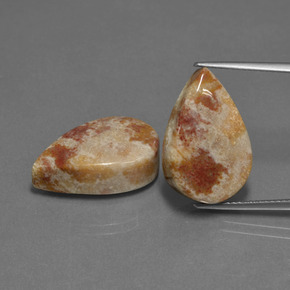 Gemas de coral fósil multicolor natural de  ct, en forma de pera, opaco