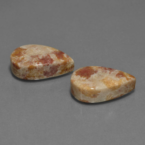 Gemas de coral fósil multicolor natural de  ct, en forma de pera, opaco