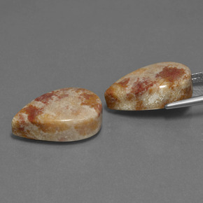 Gemas de coral fósil multicolor natural de  ct, en forma de pera, opaco