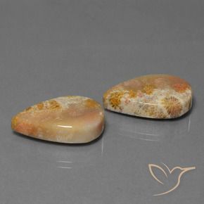 Gemas de Coral fósil Multicolor natural de 27.92 ct, En forma de pera, Opaco