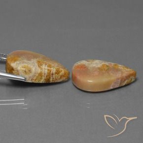 Gemas de Coral fósil Multicolor natural de 27.92 ct, En forma de pera, Opaco