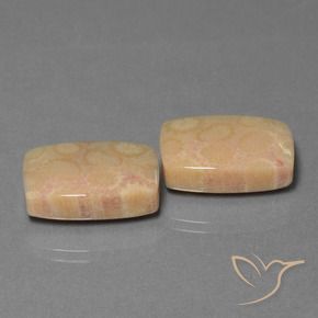 Gemas de Coral fósil Multicolor natural de 24.97 ct, Forma Cojín, Opaco