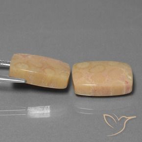 Gemas de Coral fósil Multicolor natural de 24.97 ct, Forma Cojín, Opaco