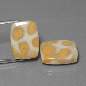 Gemas de Coral fósil Multicolor natural de  ct, Corte Cojín, Opaco