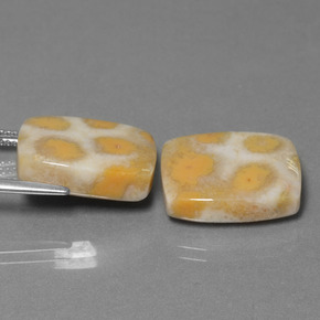 Gemas de Coral fósil Multicolor natural de  ct, Corte Cojín, Opaco