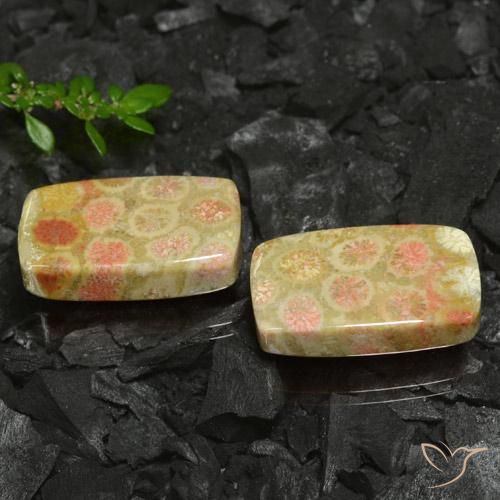 Gemas de Coral fósil Multicolor natural de 35.26 ct, Forma Cojín, Opaco