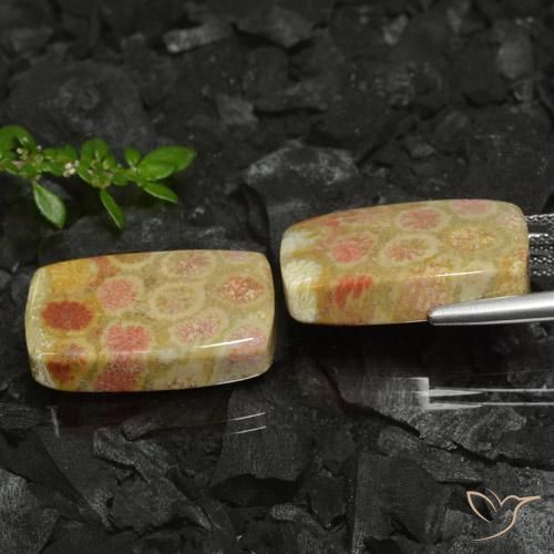 Gemas de Coral fósil Multicolor natural de 35.26 ct, Forma Cojín, Opaco