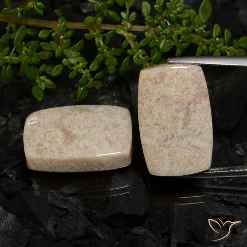 33.38ctw Natural Multicolor Coral fósil, Forma Cojín, Opaco