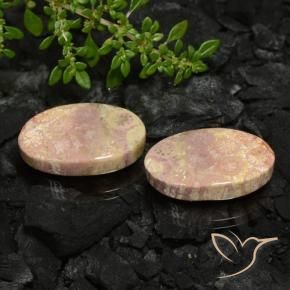 Gemas de Coral fósil Multicolor natural de 22.59 ct, Ovalada, Opaco