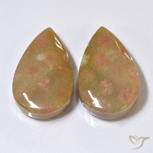 26.41ctw Natural Multicolor Coral fósil, En forma de pera, Opaco