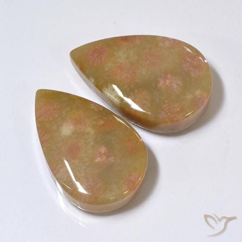 Gemas de Coral fósil Multicolor natural de 26.41 ct, En forma de pera, Opaco