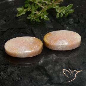 Gemas de Coral fósil Multicolor natural de 22.59 ct, Ovalada, Opaco