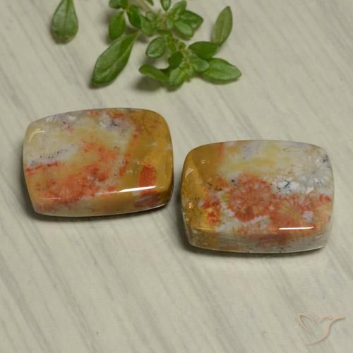 Gemas de Coral fósil Multicolor natural de 22.48 ct, Forma Cojín, Opaco