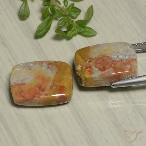 Gemas de Coral fósil Multicolor natural de 22.48 ct, Forma Cojín, Opaco