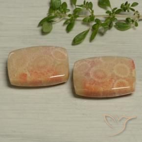 Gemas de Coral fósil Multicolor natural de 24.61 ct, Forma Cojín, Opaco