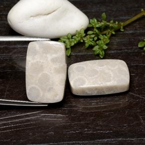 Gemas de Coral fósil Multicolor natural de 25.59 ct, Corte Cojín, Opaco