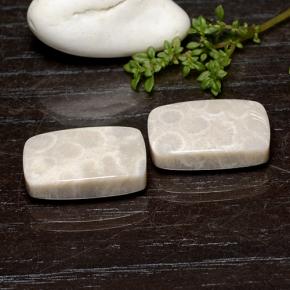 Gemas de Coral fósil Multicolor natural de 25.59 ct, Corte Cojín, Opaco