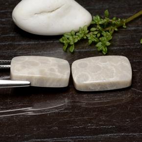 Gemas de Coral fósil Multicolor natural de 25.59 ct, Corte Cojín, Opaco