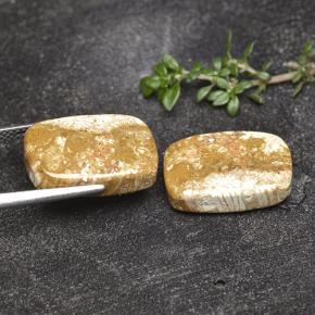 Gemas de Coral fósil Multicolor natural de 16.41 ct, Corte Cojín, Opaco