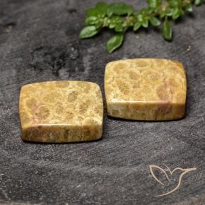 Gemas de Coral fósil Multicolor natural de 29.63 ct, Forma Cojín, Opaco