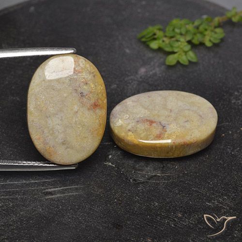 26.36ctw Natural Multicolor Coral fósil, Ovalada, Opaco