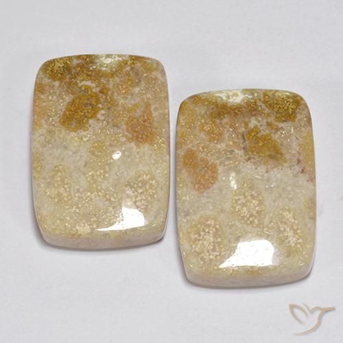 31.35ctw Natural Multicolor Coral fósil, Forma Cojín, Opaco