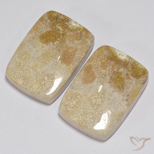 Gemas de Coral fósil Multicolor natural de 31.35 ct, Forma Cojín, Opaco