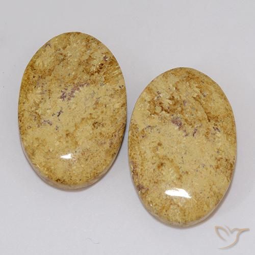 19.18ctw Natural Multicolor Coral fósil, Ovalada, Opaco
