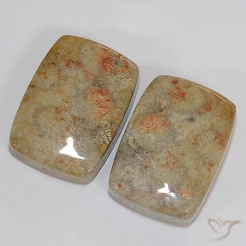 Gemas de Coral fósil Multicolor natural de 46.76 ct, Forma Cojín, Opaco