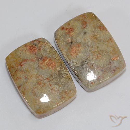 Gemas de Coral fósil Multicolor natural de 46.76 ct, Forma Cojín, Opaco