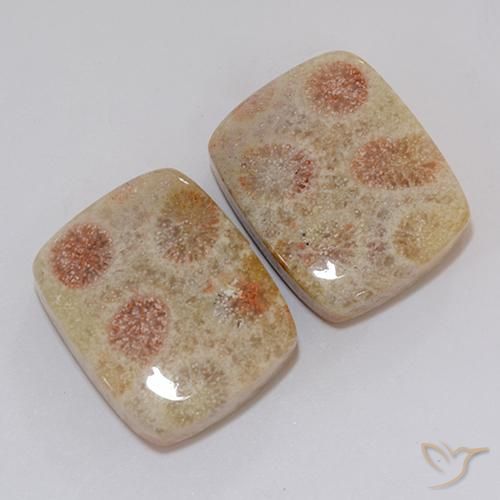 Gemas de Coral fósil Multicolor natural de 37.10 ct, Forma Cojín, Opaco