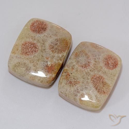 Gemas de Coral fósil Multicolor natural de 37.10 ct, Forma Cojín, Opaco