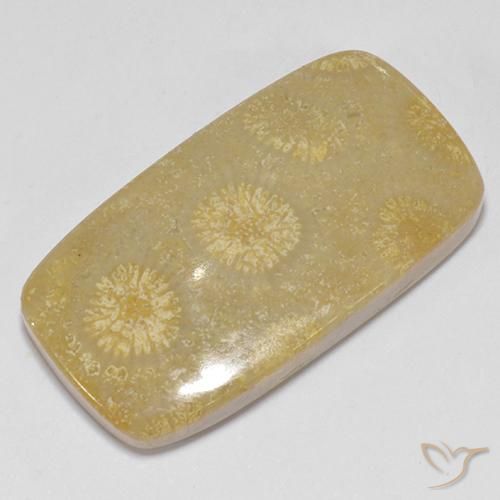 Coral fósil Multicolor natural de 14.52 ct, Forma Cojín, Opaco