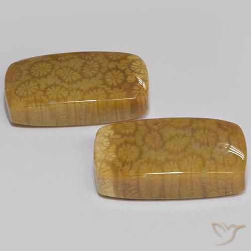 Gemas de Coral fósil Multicolor natural de 25.75 ct, Forma Cojín, Opaco