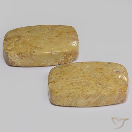 Gemas de Coral fósil Multicolor natural de 28.04 ct, Forma Cojín, Opaco