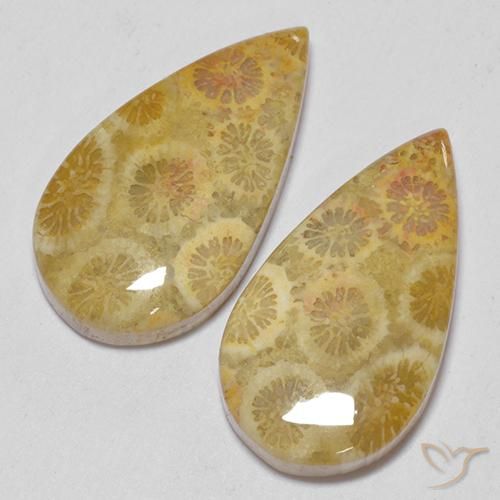 Gemas de Coral fósil Multicolor natural de 15.93 ct, En forma de pera, Opaco