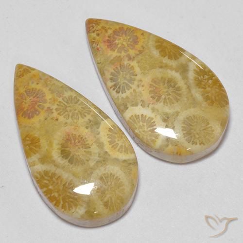 Gemas de Coral fósil Multicolor natural de 15.93 ct, En forma de pera, Opaco
