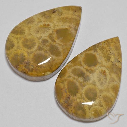 Gemas de Coral fósil Multicolor natural de 40.40 ct, En forma de pera, Opaco