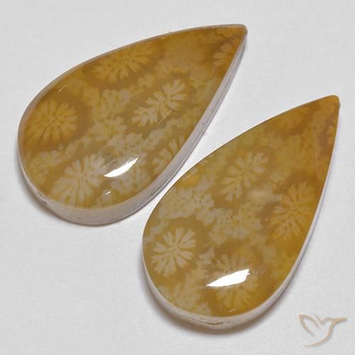 Gemas de Coral fósil Multicolor natural de 21.24 ct, En forma de pera, Opaco