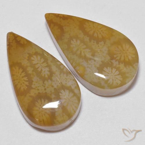 Gemas de Coral fósil Multicolor natural de 21.24 ct, En forma de pera, Opaco