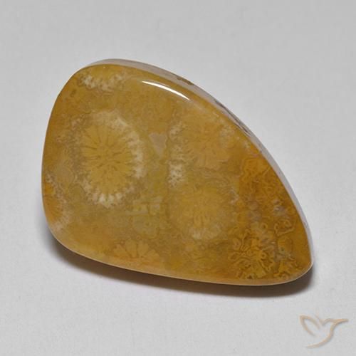 Coral fósil Multicolor natural de 9.42 ct, Elegante, Opaco
