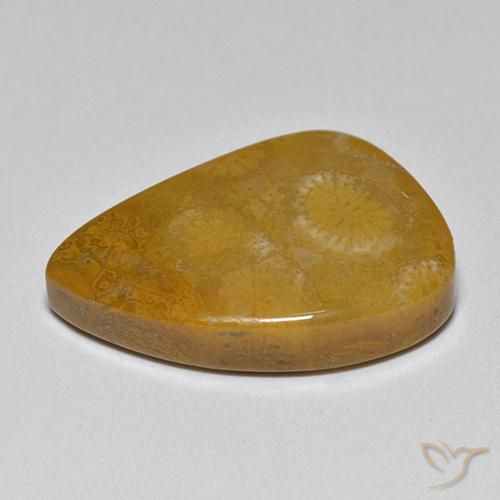 Coral fósil Multicolor natural de 9.42 ct, Elegante, Opaco