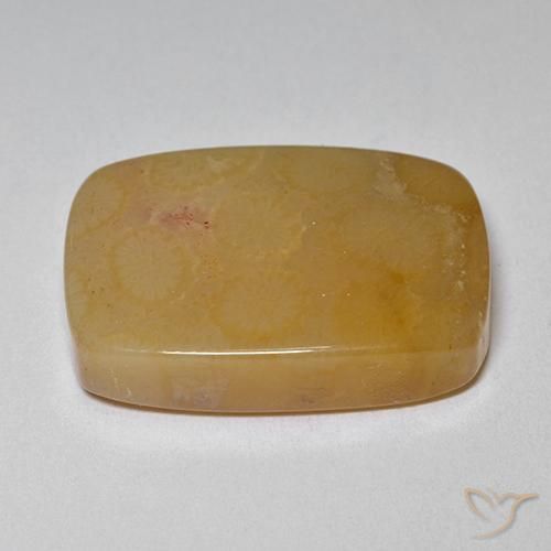 Coral fósil Multicolor natural de 16.47 ct, Forma Cojín, Opaco
