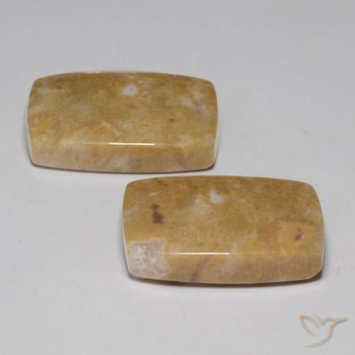 Gemas de Coral fósil Multicolor natural de 29.09 ct, Forma Cojín, Opaco