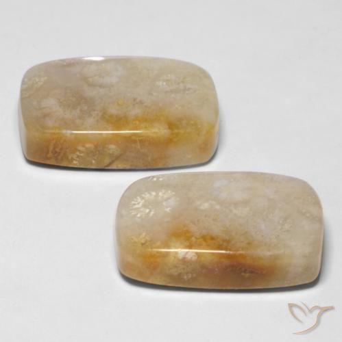 Gemas de Coral fósil Multicolor natural de 29.43 ct, Forma Cojín, Opaco