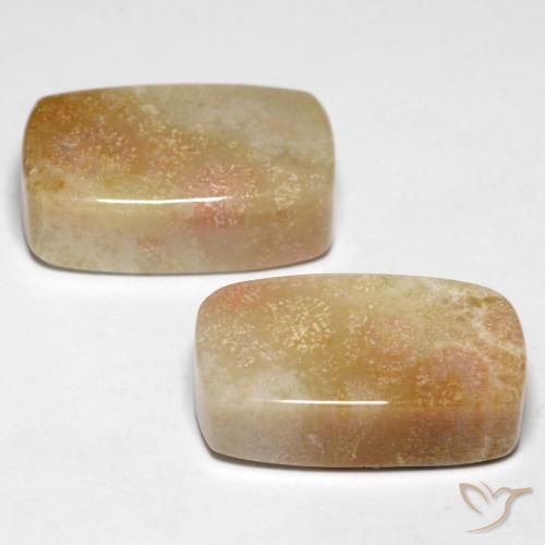 Gemas de Coral fósil Multicolor natural de 28.47 ct, Forma Cojín, Opaco
