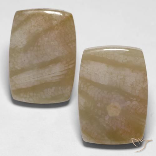 27.98ctw Natural Multicolor Coral fósil, Forma Cojín, Opaco
