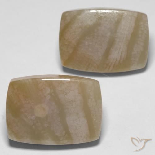 Gemas de Coral fósil Multicolor natural de 27.98 ct, Forma Cojín, Opaco