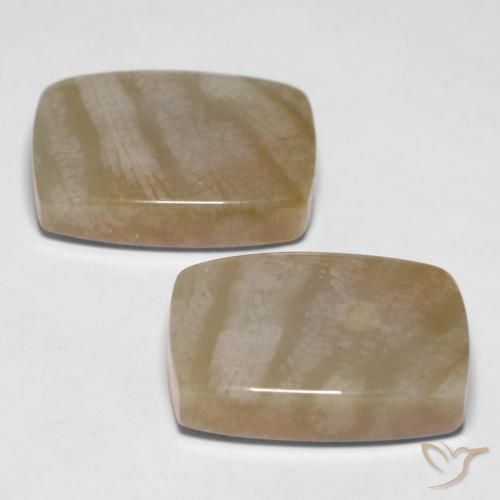 Gemas de Coral fósil Multicolor natural de 27.98 ct, Forma Cojín, Opaco