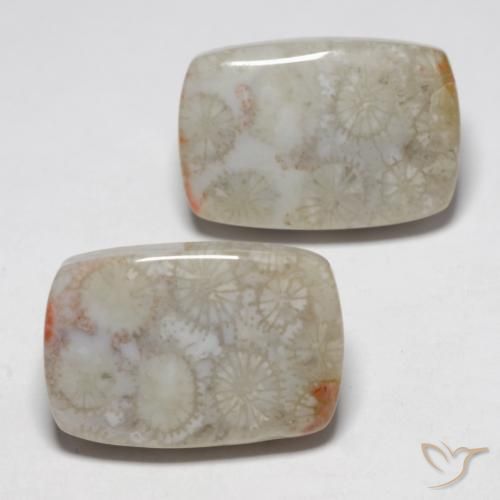 Gemas de Coral fósil Multicolor natural de 23.76 ct, Forma Cojín, Opaco